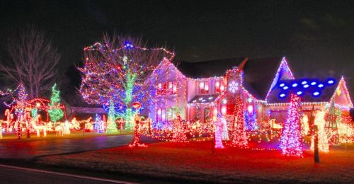Calgary Christmas lights